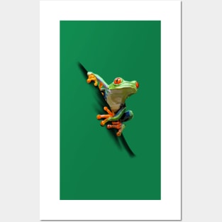 Frosch Posters and Art